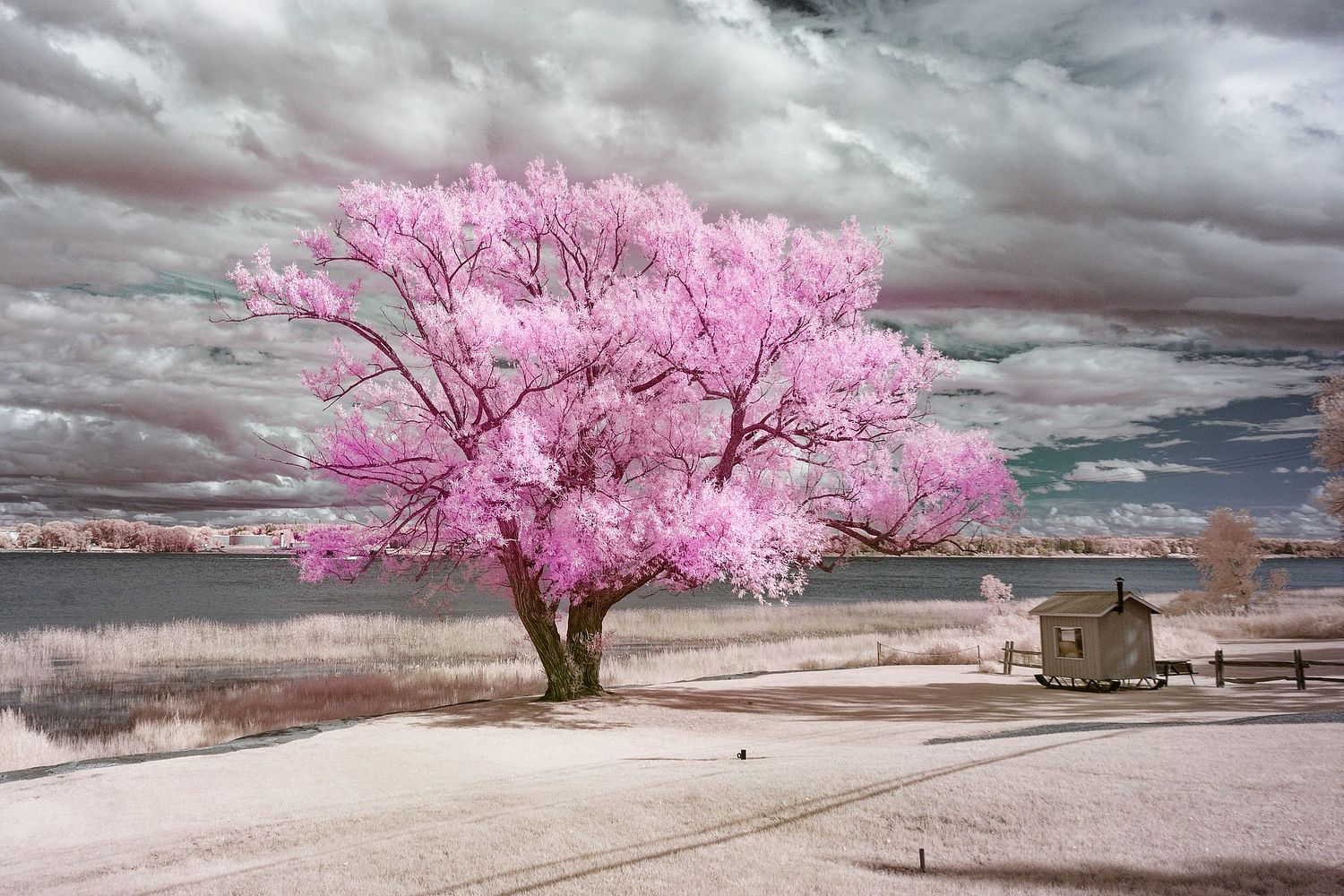 Photographie infrarouge — série imaginaire